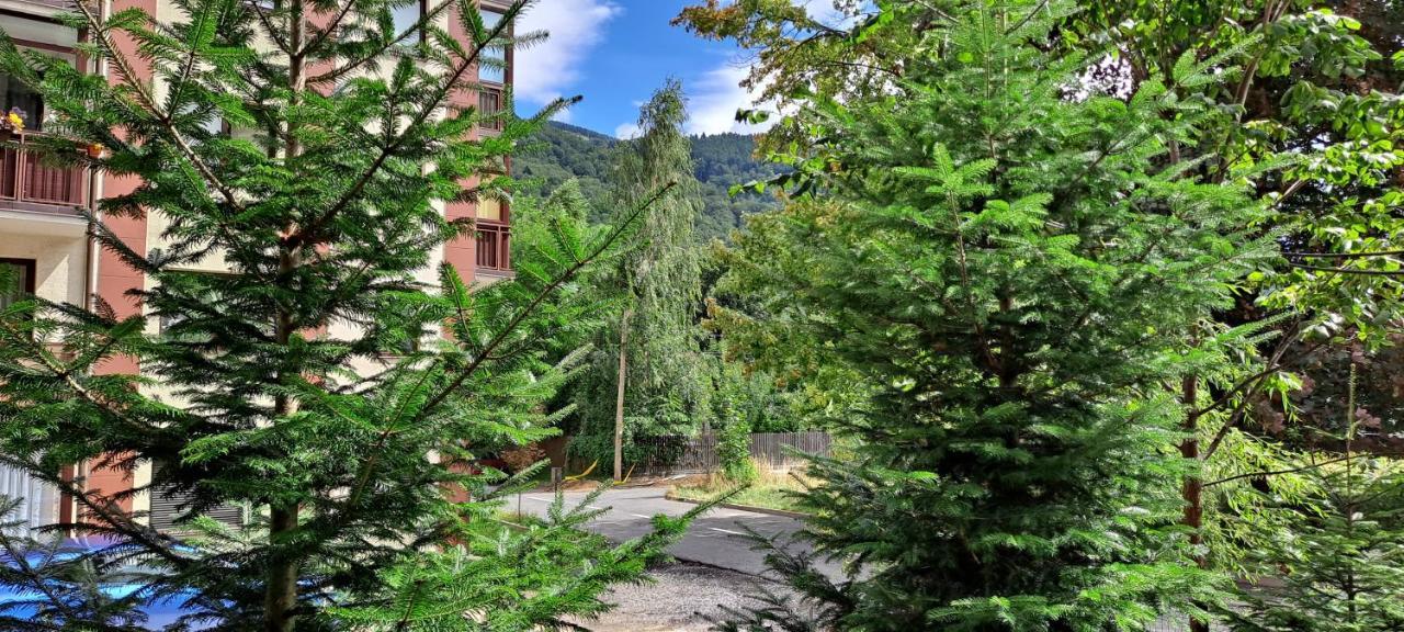 Sinaia Relax Residence Exteriör bild