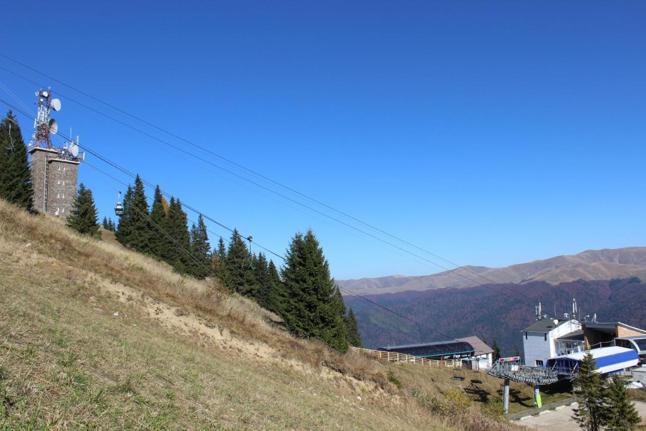 Sinaia Relax Residence Exteriör bild